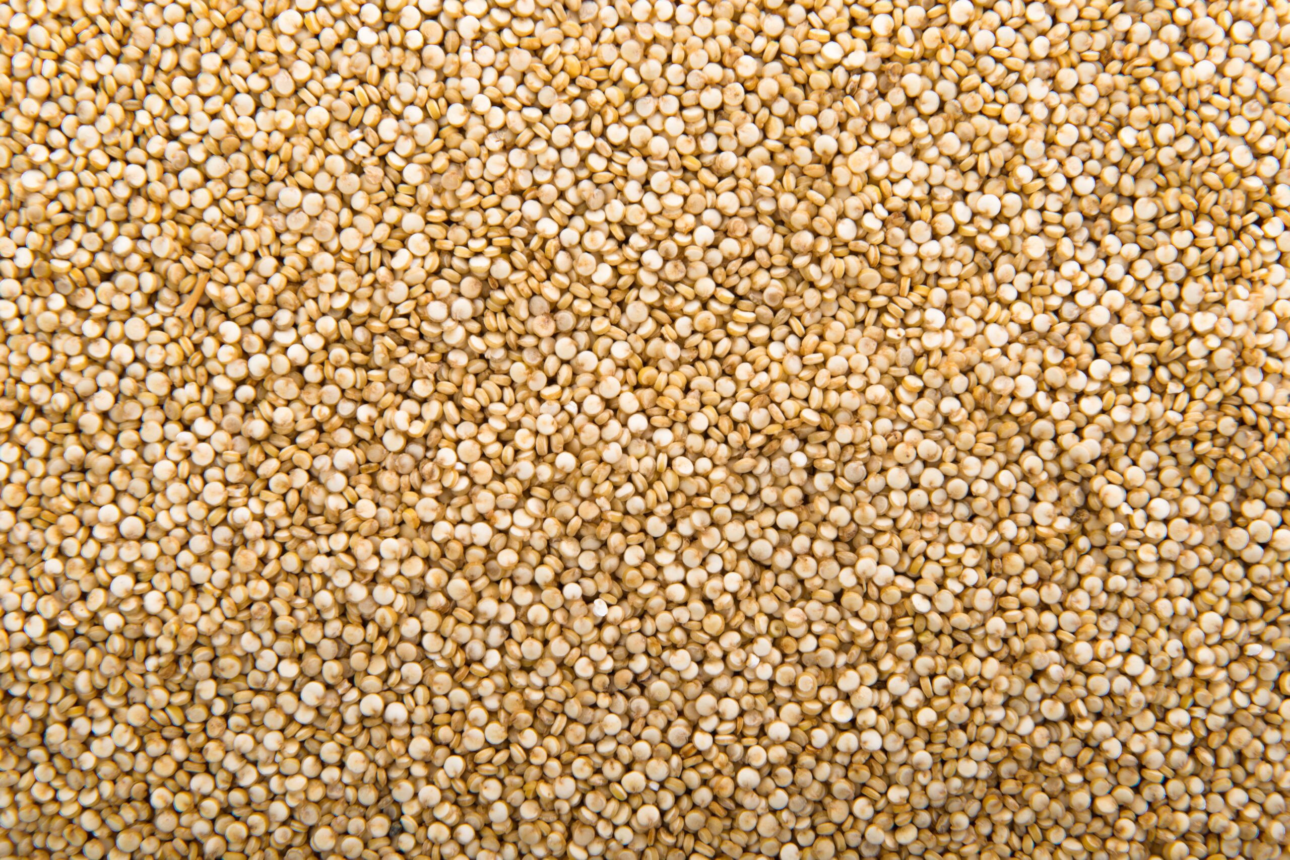 La quinoa: un alimento ricco di salute ed energia