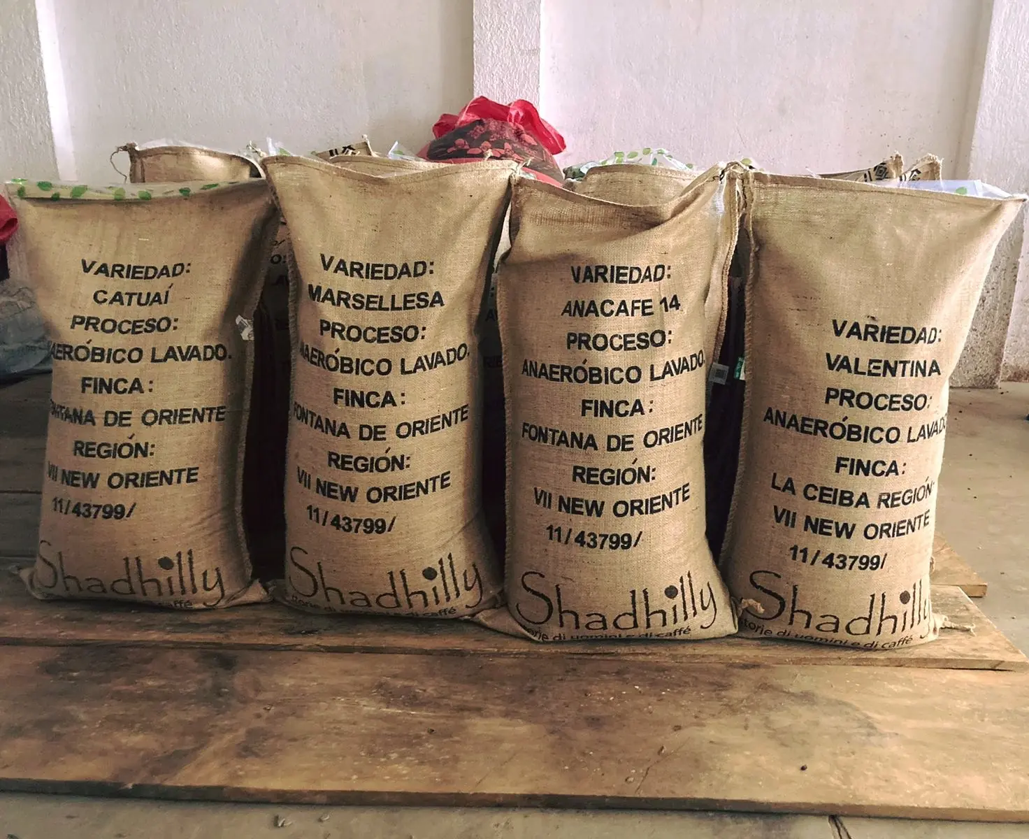 Sacchi caffè specialty in micro lotti
