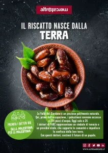 Datteri per la palestina